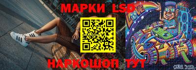 гидропоника Пенза